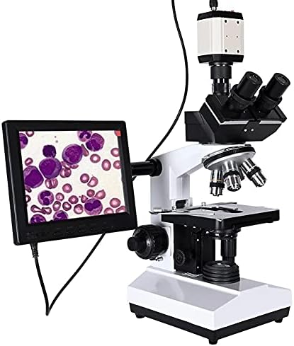 YTYZC Szakmai Labor Biológiai trinocular Mikroszkóp Zoom 2500X + USB Elektronikus Digitális CCD Kamera + 8 hüvelykes LCD