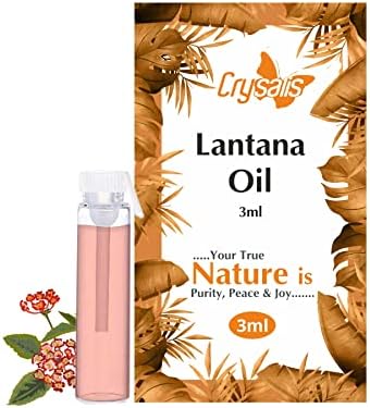 Crysalis Lantana (Lantana Camara) Gőz Desztillált illóolaj - ban Természetes & Tiszta Hígítatlan Vágatlan Olaj Használata,