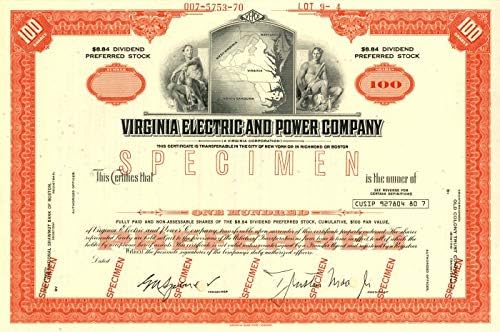 Virginia Elektromos Co. - Raktáron Bizonyítvány