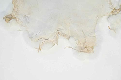 Igazi Puha Kézműves Minőségű Fehér Nyúl Pelt a Dekor & Crafts a SLC 5 Pack